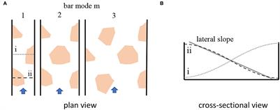 Impacts on alternate bar geometry and dynamics in a trained sand bed river